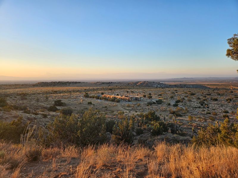 Tenerelli Orchards, Littlerock, California