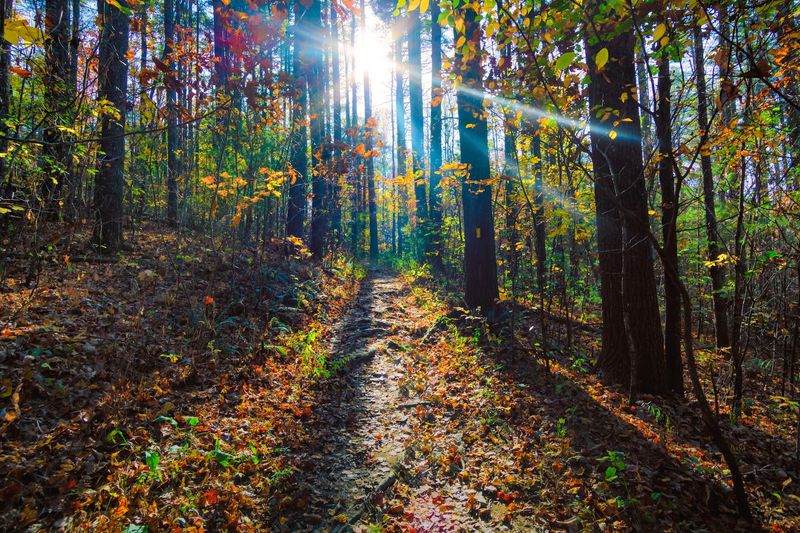 Tennessee Rock Trail, the Signature Loop