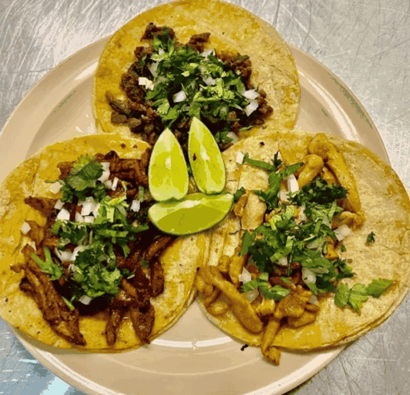 Tere Taqueria y Antojitos, Elgin, IL