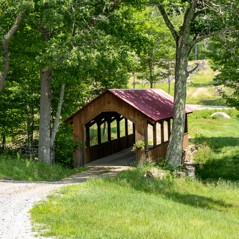 That Famous Covered Bridge on the Property