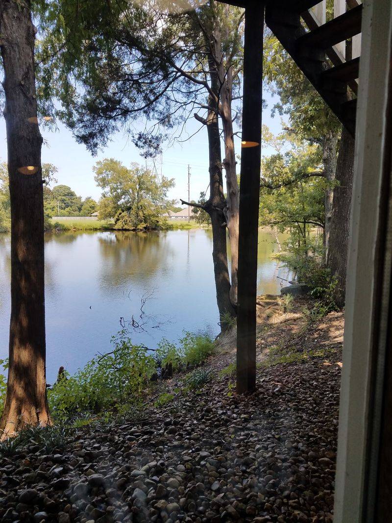 That Famous Pond View