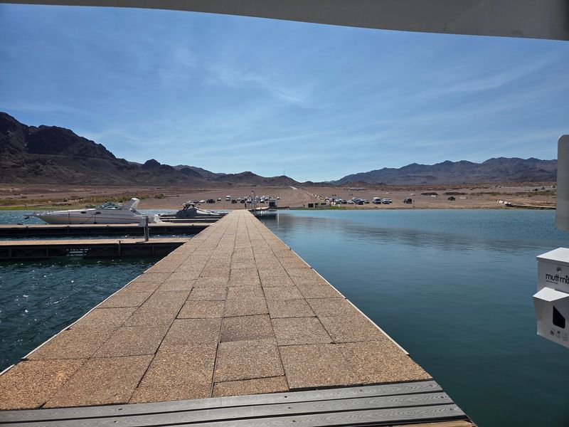 The Adventurous Walk Down the Dock