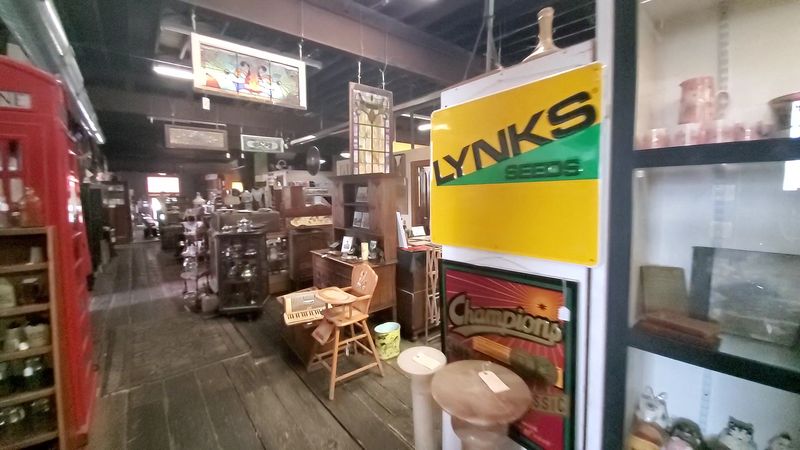 The Antique Shop Next Door