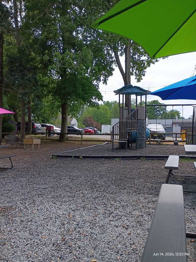 The Backyard Playground Nobody Expects The Backyard Playground Nobody Expects