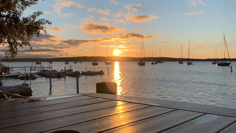 The Bay Views That Follow You To Your Table