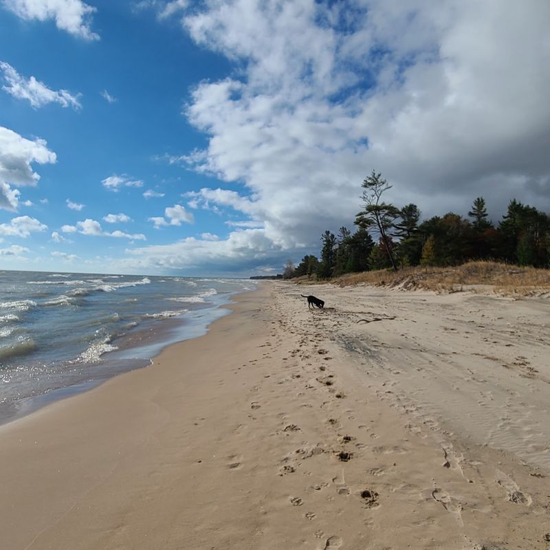 The Beach That Rewards a Longer Stroll The Beach That Rewards a Longer Stroll