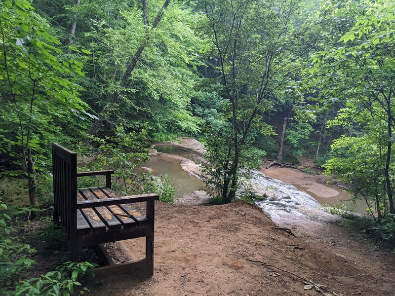 The Bench Made for Slowing Down The Bench Made for Slowing Down