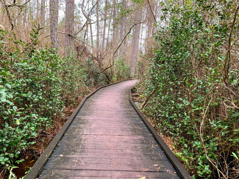 The Boardwalk That Floats On Black Water