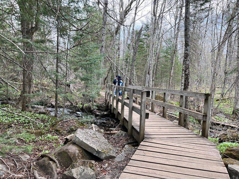 The Boardwalks That Keep You Above The Mud The Boardwalks That Keep You Above The Mud
