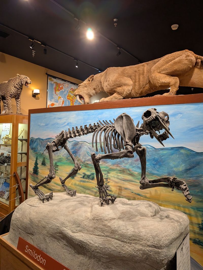 The Bob Campbell Geology Museum Surprise