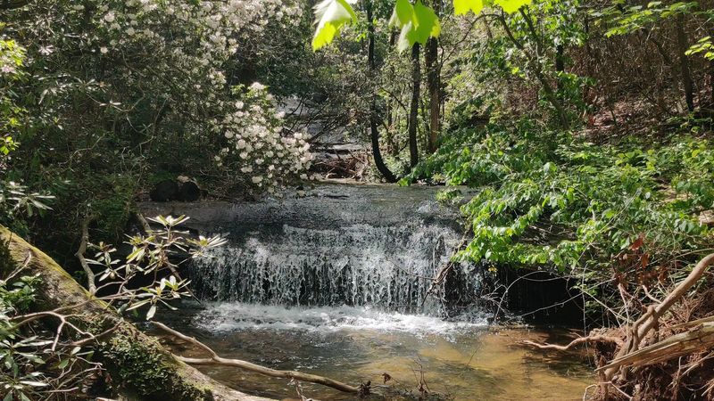 The Carrick Creek Trail and Its Chain of Waterfalls The Carrick Creek Trail and Its Chain of Waterfalls