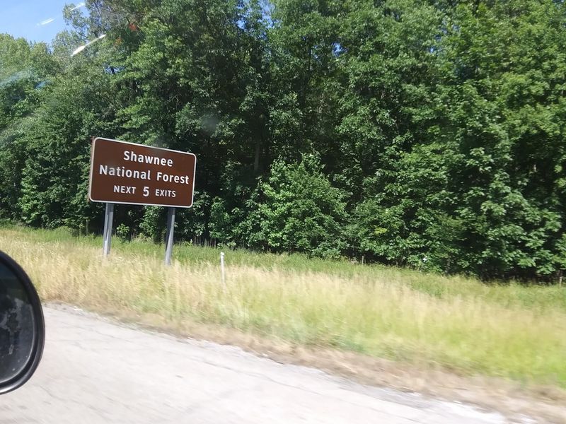 The Case For Settling Down Here
