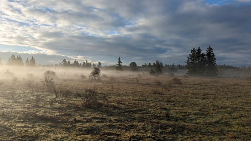 The Case for Late Winter and Early Spring