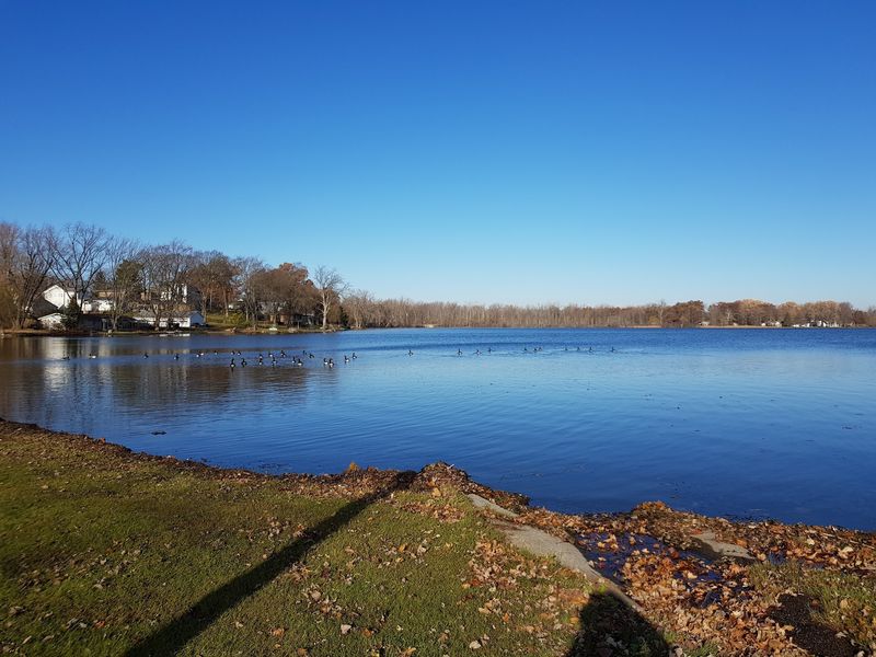 The Case for a Quieter Shoreline