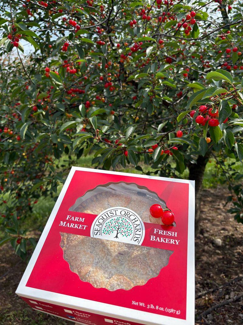 The Cherry Pie Everyone Talks About