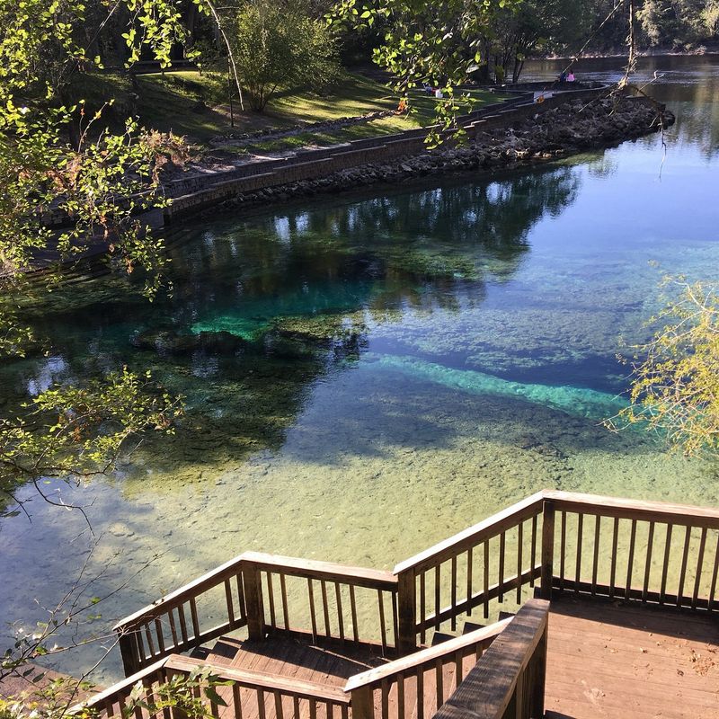The Clear Springs That Feed The River