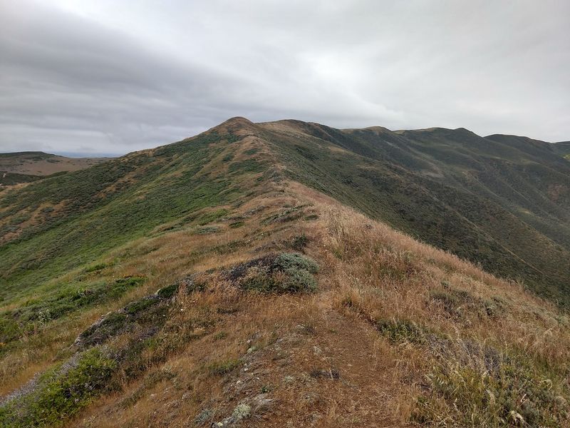 The Climb Up To The Ridgeline