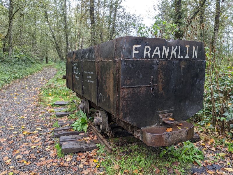 The Coal-Mining Roots Beneath the Trees