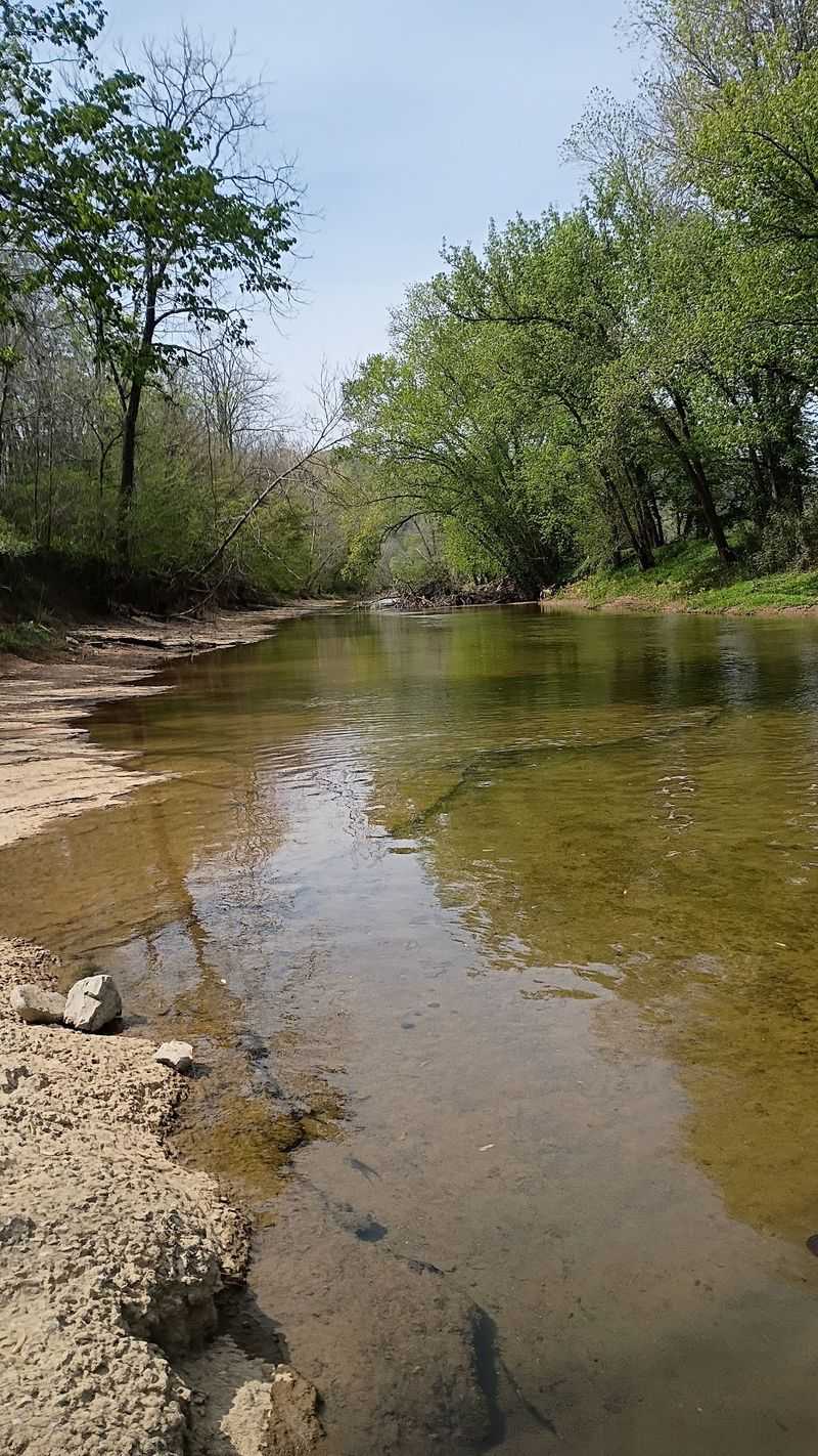 The Cold Water Secret Behind The Trout The Cold Water Secret Behind The Trout
