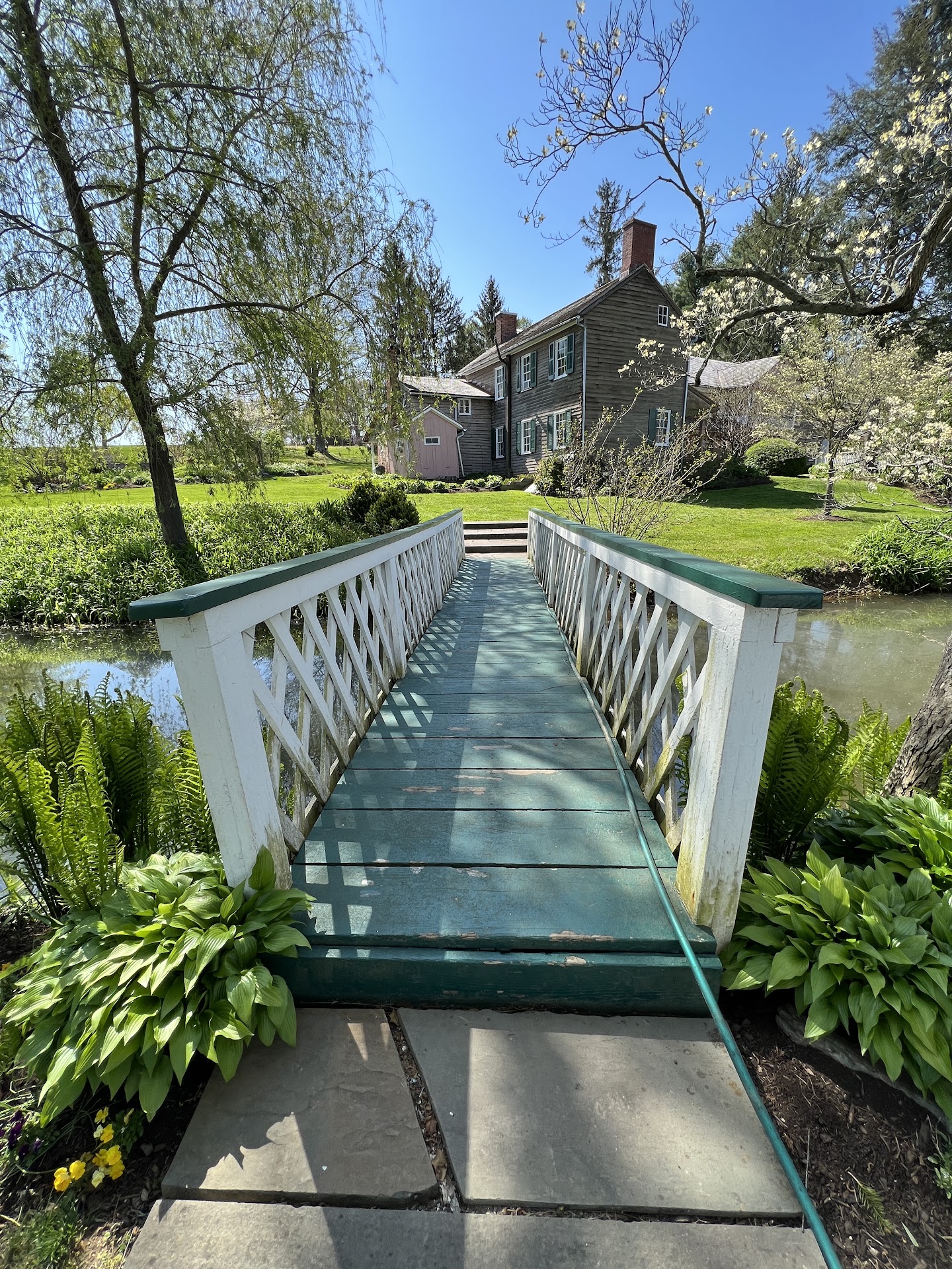The Creek And Footbridge