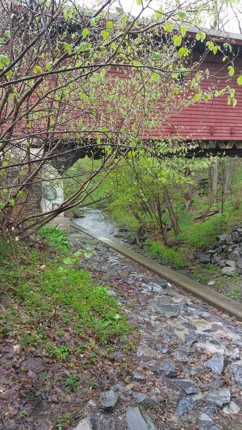 The Creek Overlook and Its Quiet Waterfall The Creek Overlook and Its Quiet Waterfall