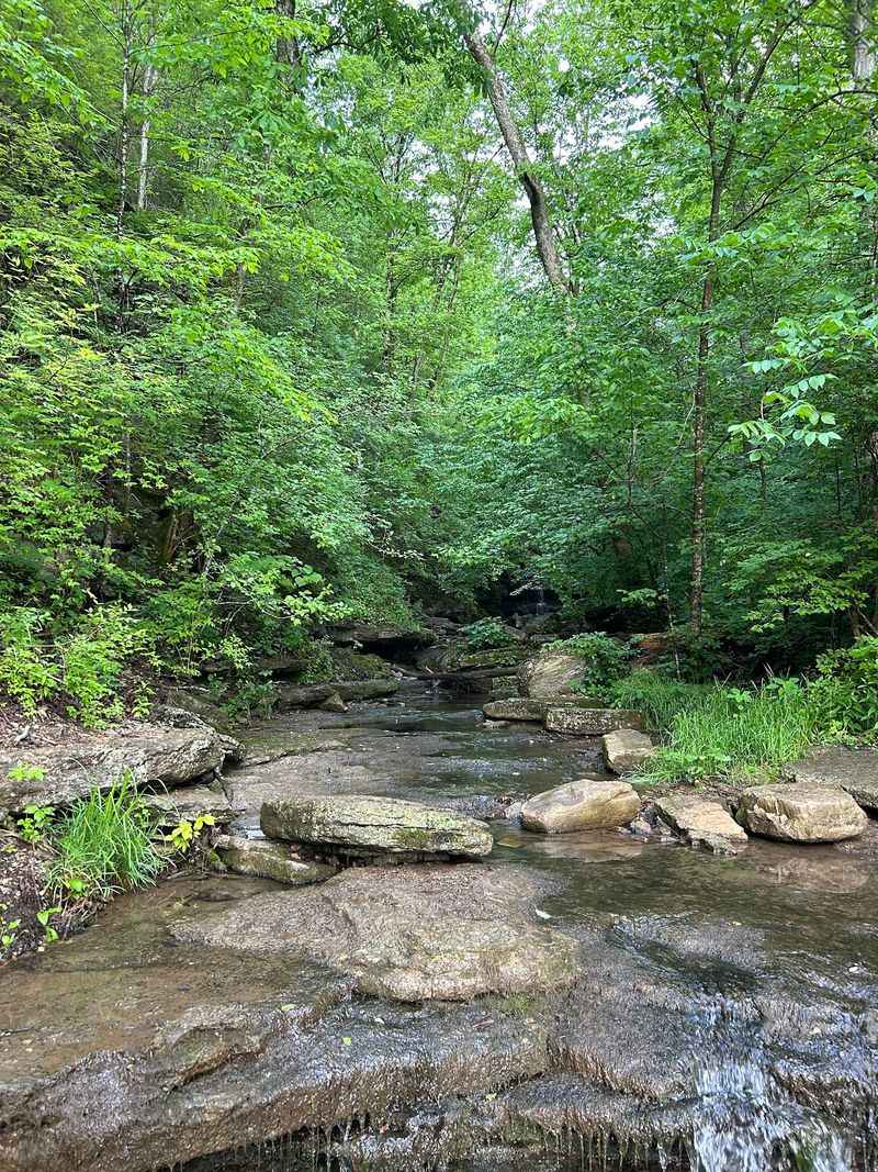 The Creek That Gives The Gorge Its Name The Creek That Gives The Gorge Its Name
