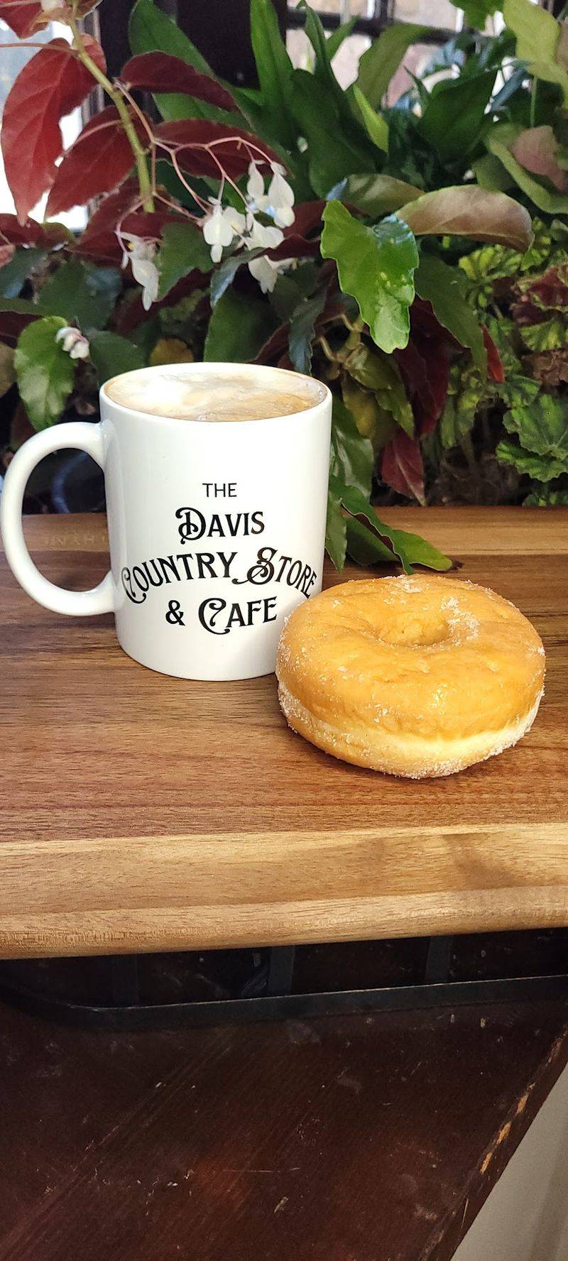 The Davis Country Store & Cafe, Old Fort, NC