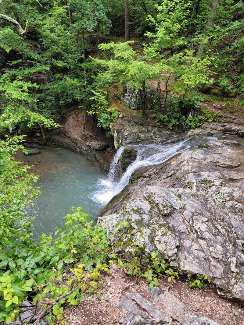 The Easy Walk to Falls Branch Falls