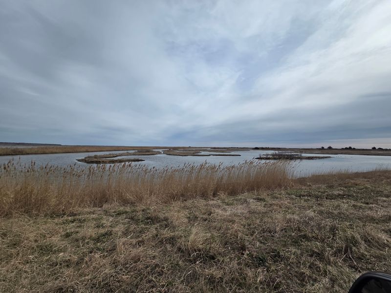 The Famous Eight-Mile Wildlife Drive