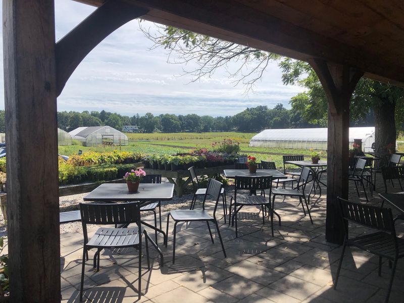 The Farmer's Porch at Tangerini's Farm, Millis, MA