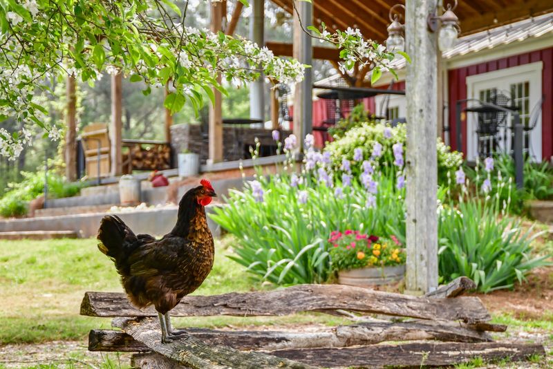 The Farmhouse Inn, Madison, Georgia