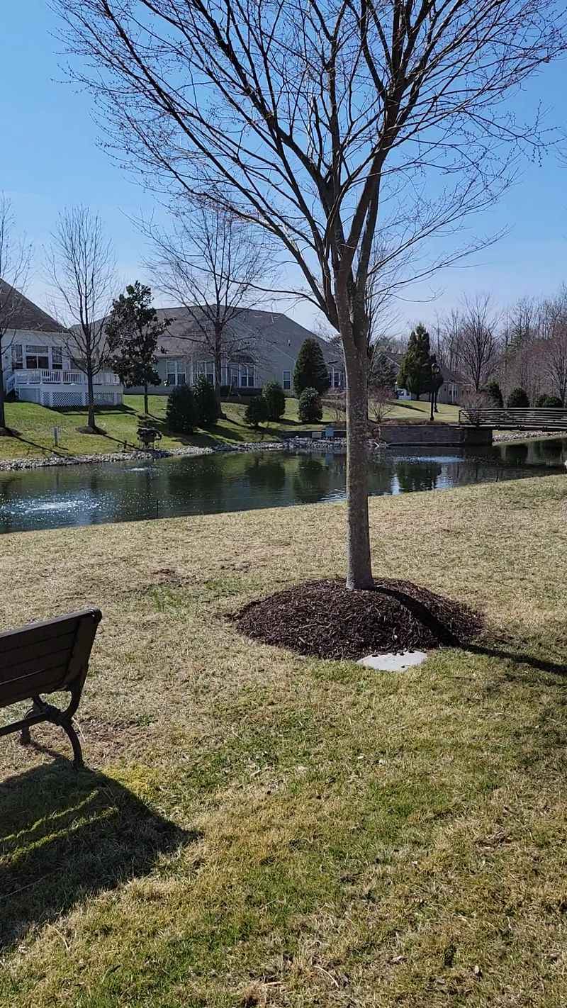 The Fine Print On HOA And Home Upkeep