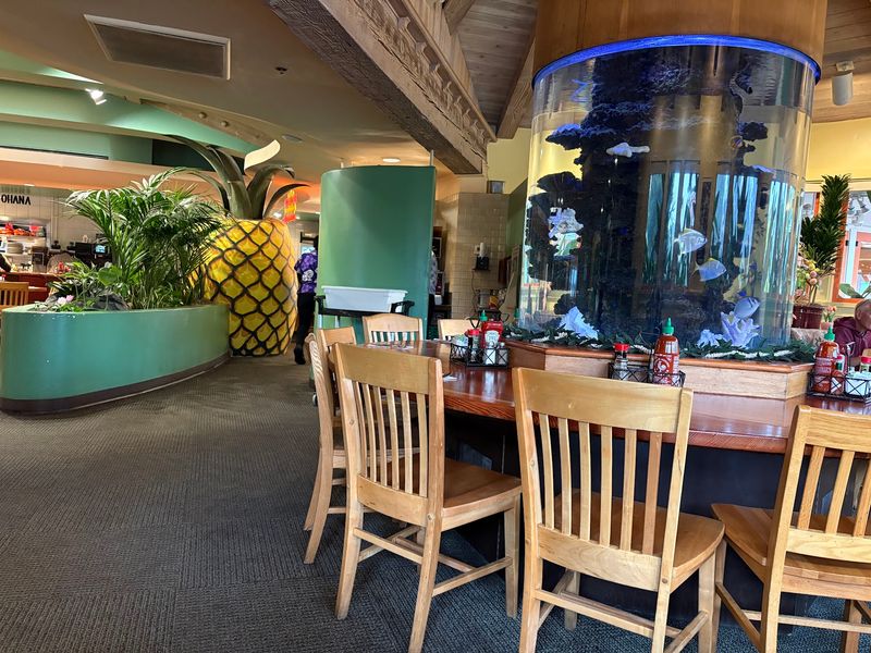 The Fish Tank And The Family-Friendly Vibe