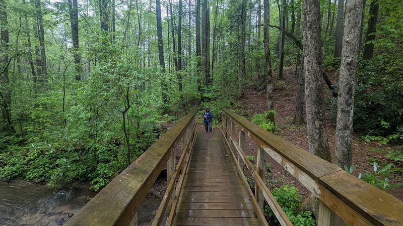 The Footbridge and Creek Crossing