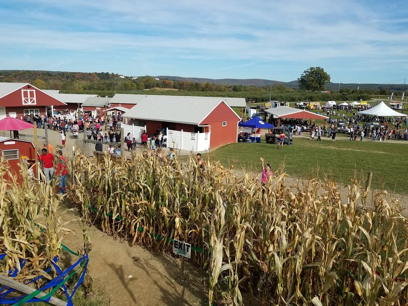 The Fun Park and Corn Maze