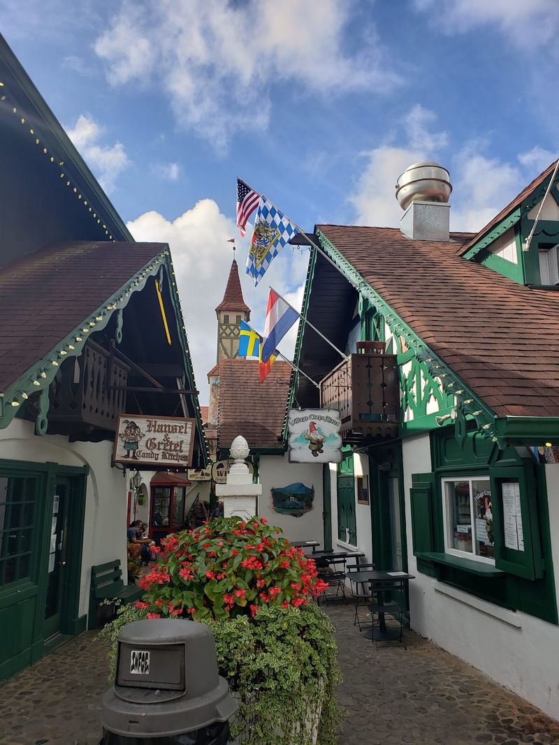 The German Bakery That Anchors the Afternoon