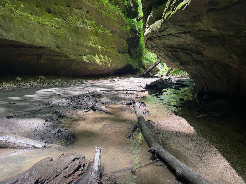 The Gorge That Steals The Show The Gorge That Steals The Show