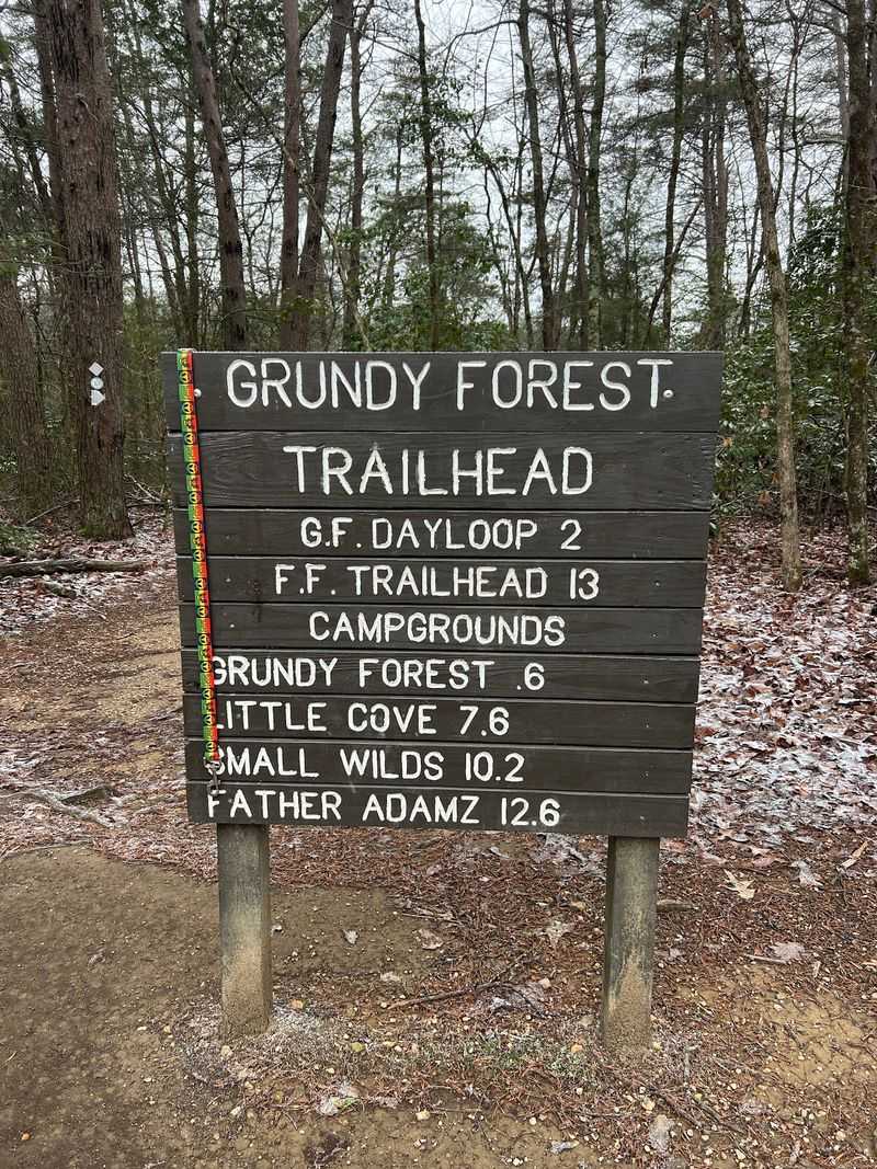 The Grundy Forest Loop Connection