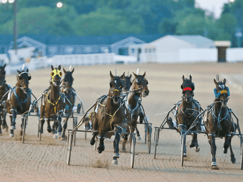 The Harness Racing Legacy The Harness Racing Legacy