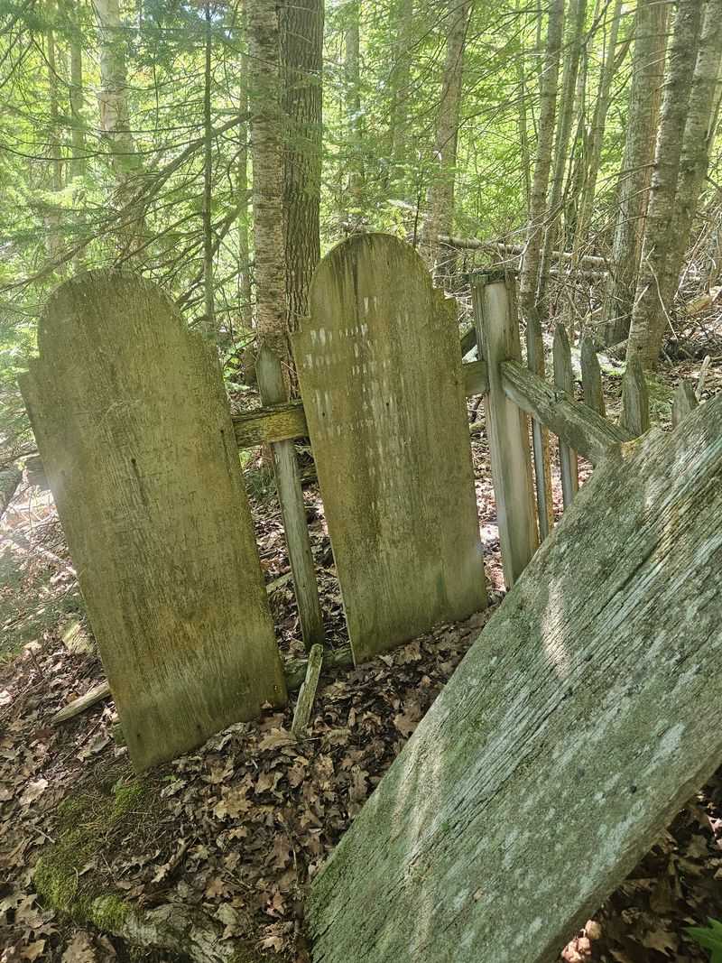 The Hidden Cemetery In The Woods