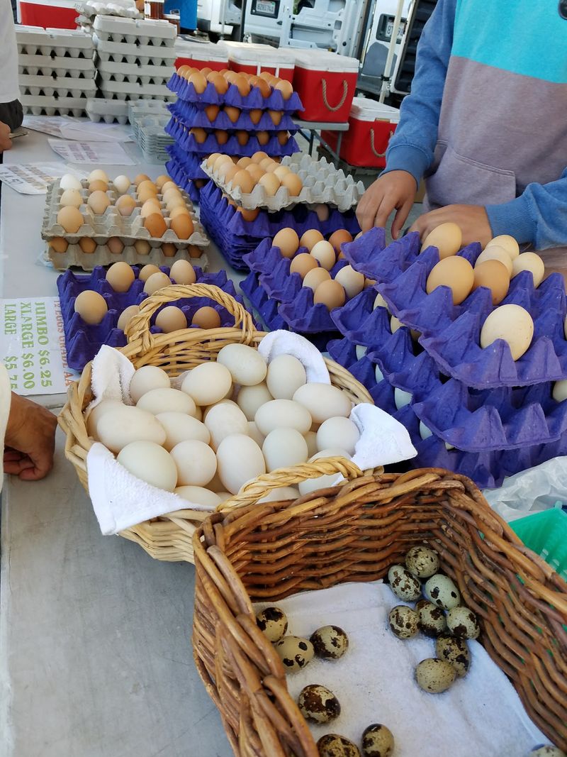 The Infamous Egg Line