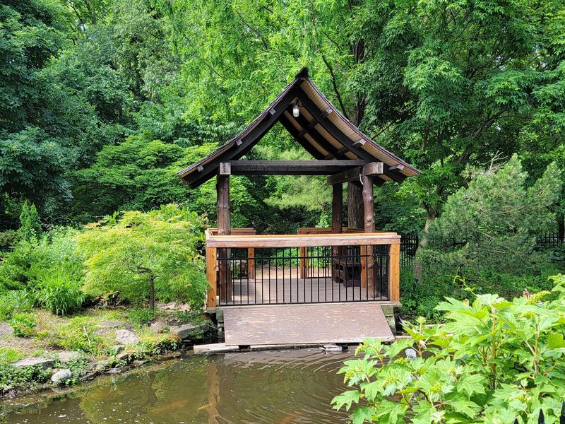 The Koi Pond That Steals The Show The Koi Pond That Steals The Show