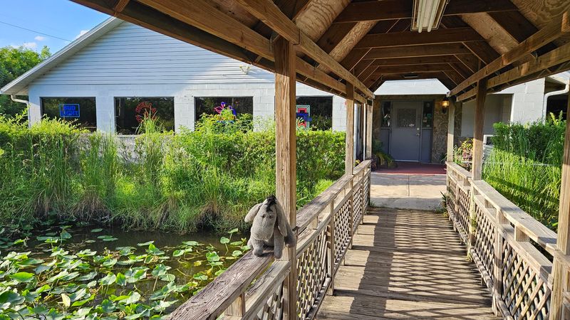 The Koi Pond and Bridge Out Front