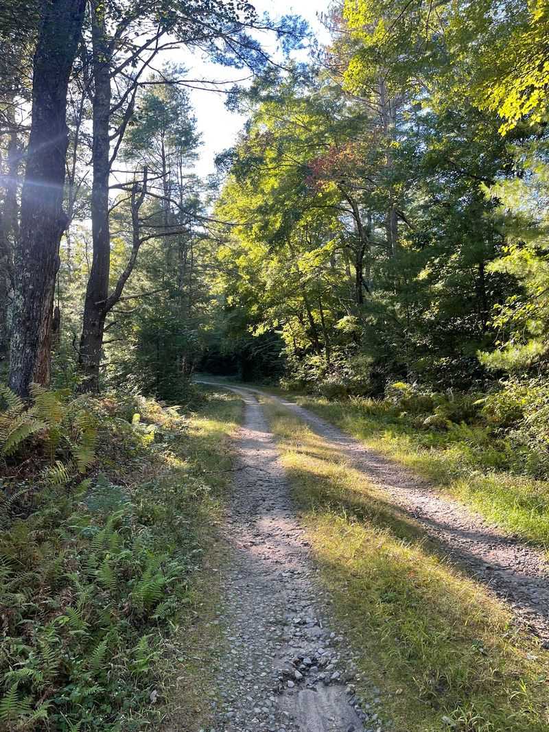 The Long But Gentle Road In