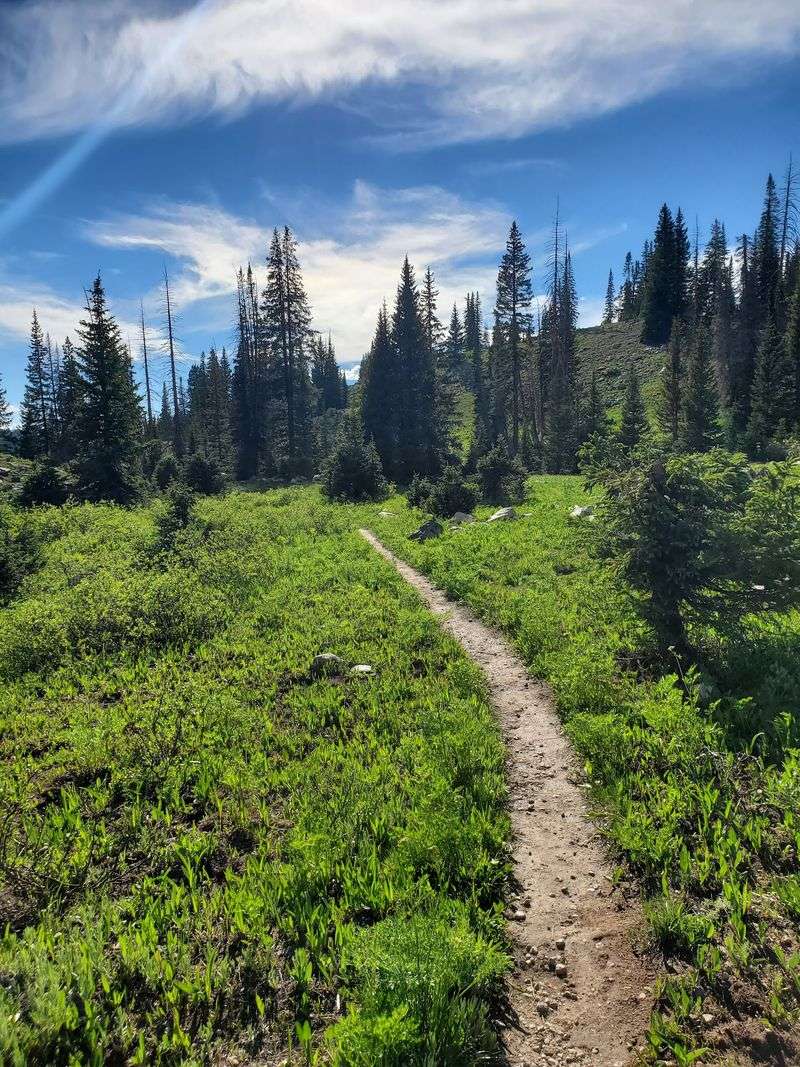 The Long Trek Toward Long Lake