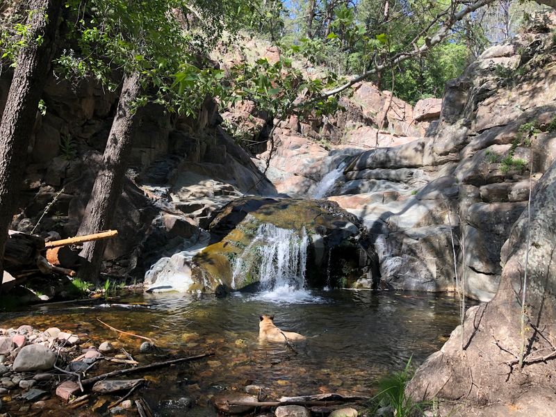 The Lower Falls and Its Pools