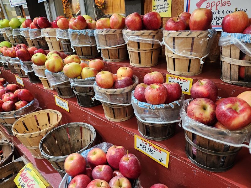 The Market, Nursery, and Orchard Next Door