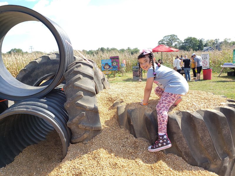 The Maryland Corn Maze, Gambrills, MD