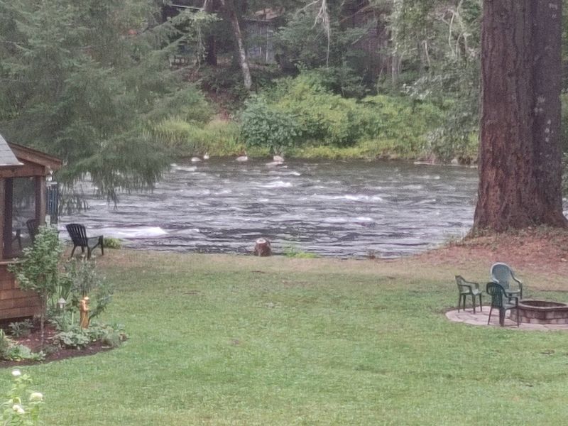 The McKenzie River At Your Doorstep The McKenzie River At Your Doorstep