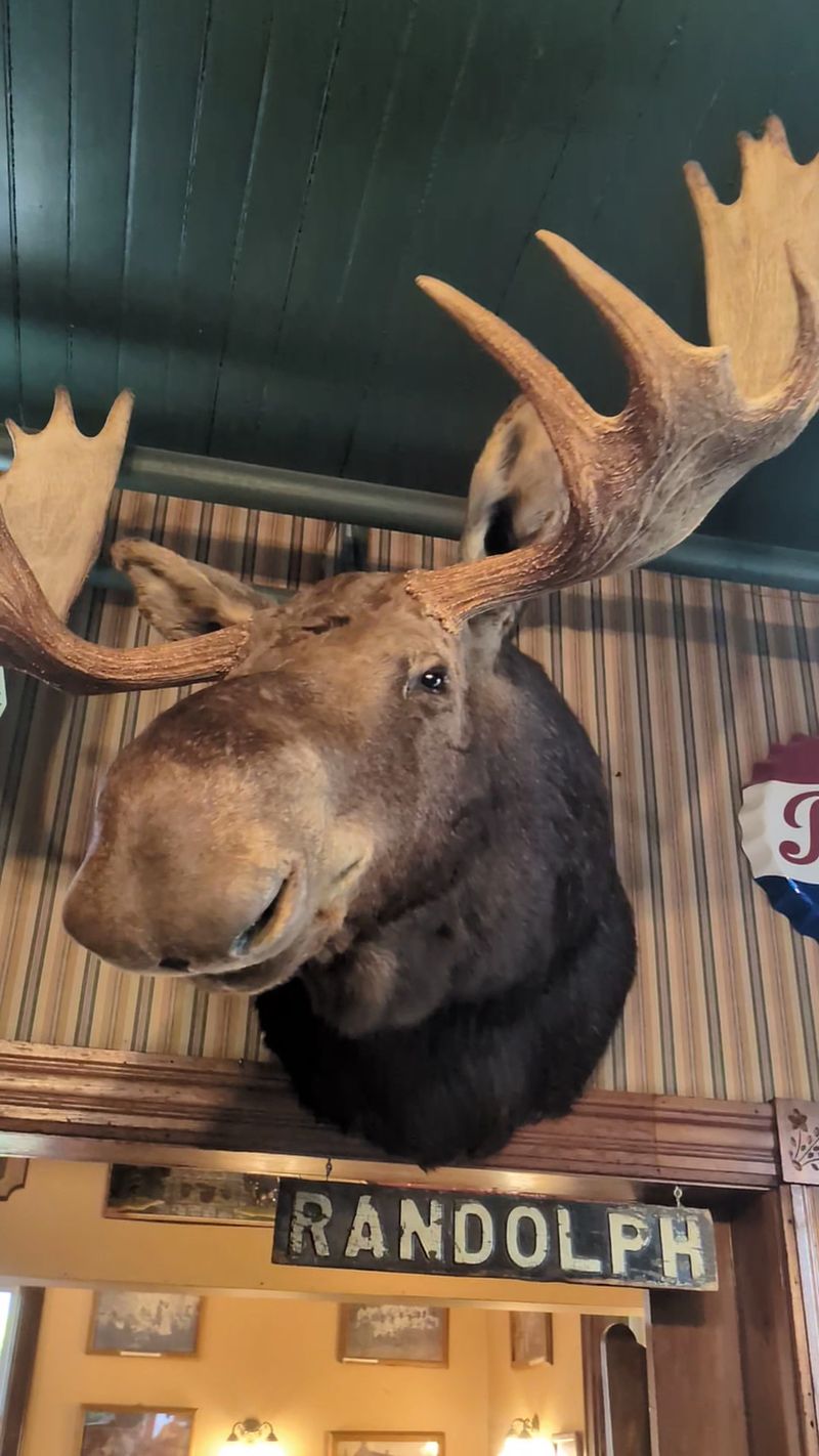 The Moose That Gets All the Kisses The Moose That Gets All the Kisses